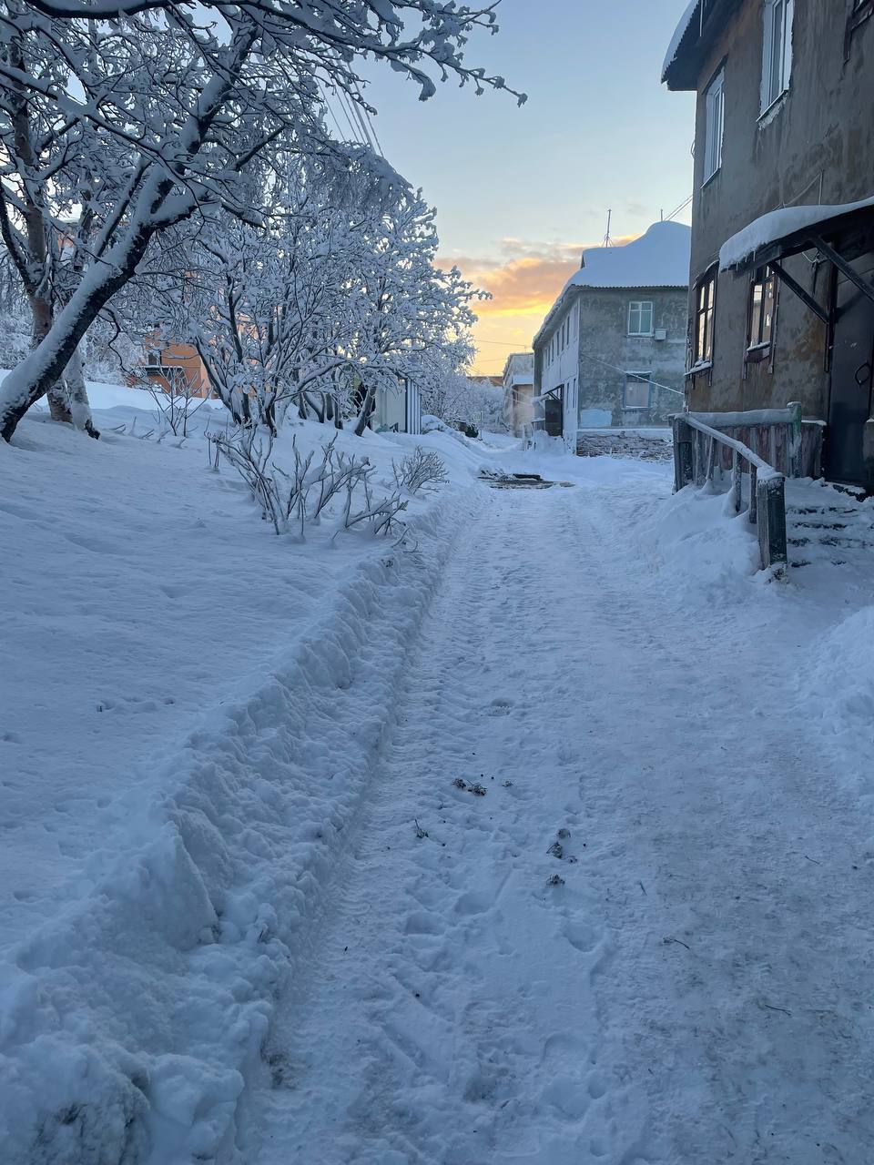 Фролова 10.1.jpg