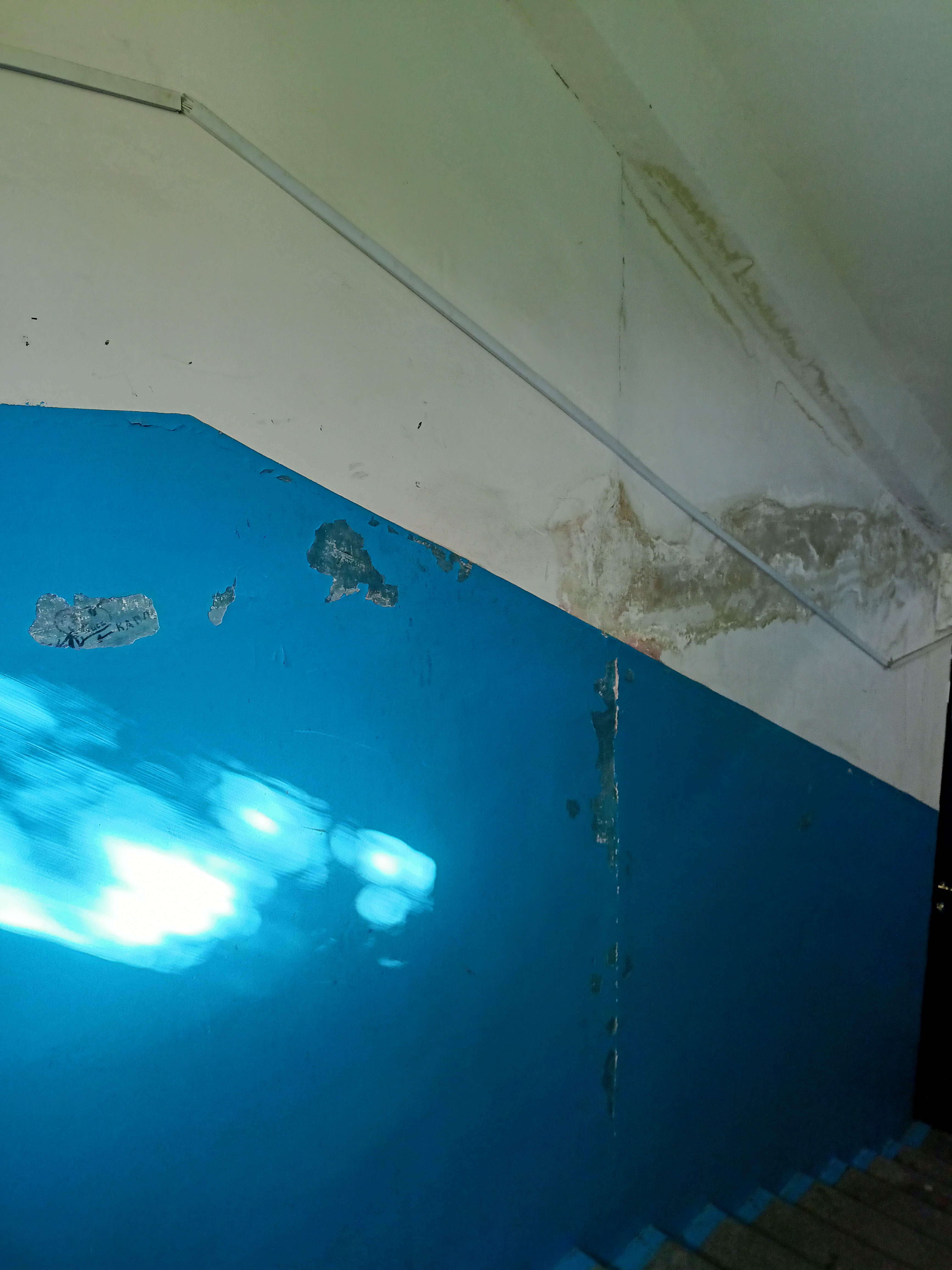 IMG20260721084046.jpg